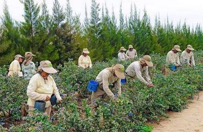 Crisis sanitaria y social: proponen la creaci�n de la Empresa Estatal de Alimentos