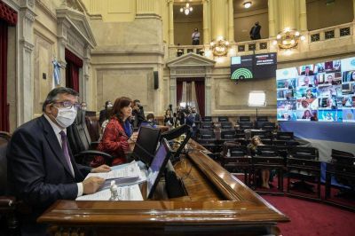Otra jornada virtual en el Congreso