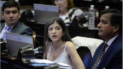 En respuesta a la oposici�n, el Gobierno descarta que pretenda confiscar acciones de empresas