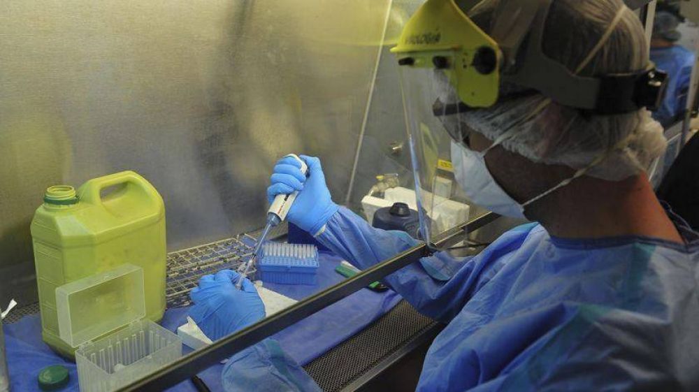 Coronavirus: con 552 nuevos contagios, el total de casos asciende a 12.628