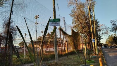 Eco Lomas: recuperaron una esquina donde hab�a basura; ahora hay plantas