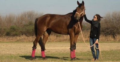 La conjunci�n del caballo con el ser humano como terapia es la noble tarea que pronto tendr� su espacio propio en Santa In�s