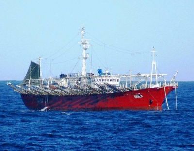 Coronavirus: activan protocolo en el puerto y retorna un buque con 29 marineros por casos sospechosos