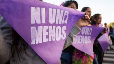 Presentan proyecto para que obras sociales atiendan a v�ctimas de violencia de g�nero