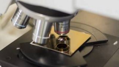 Cient�ficas tucumanas desarrollan el primer test serol�gico contra la hepatitis E