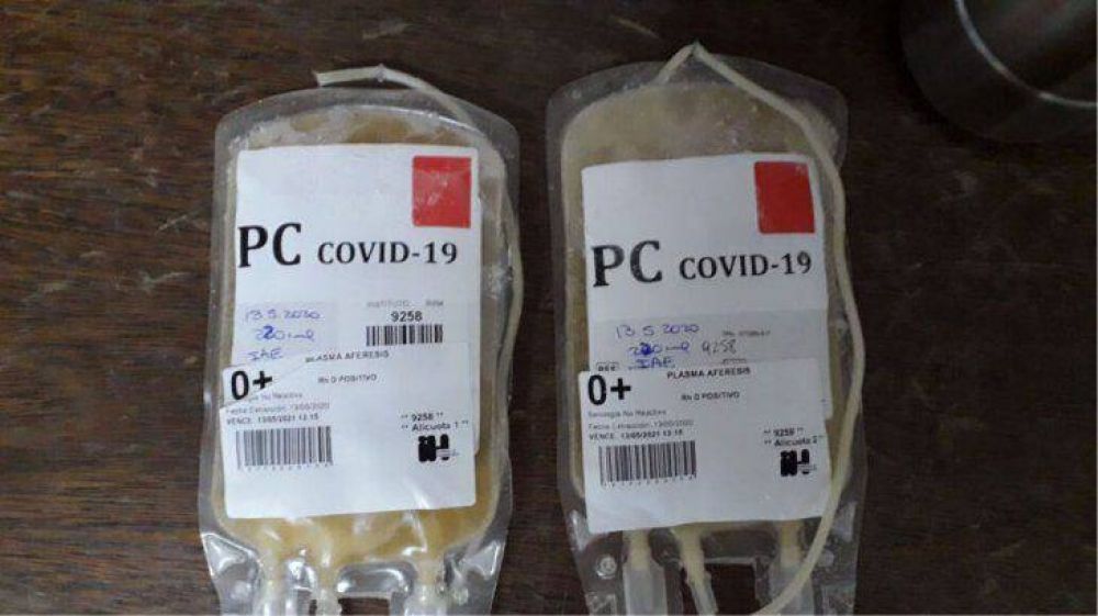 Presentan en Provincia proyecto para que sea ley la donacin de plasma para tratar el Covid-19