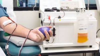 Coronavirus en Argentina: “Con el plasma de los 6 mil recuperados se podría salvar la vida de al menos 24 mil personas”