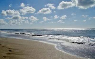 Flexibilizaci�n en Gesell: Intendente anunci� el regreso de la playa y la pesca