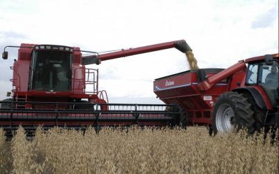 Qu� esquemas de negocios se abren con Vicentin como �empresa testigo� en los mercados alimenticio y cambiario 