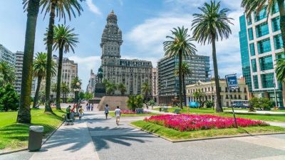 Trading internacional: cómo funcionan las nuevas ventajas fiscales que podrían motivar a empresarios a obtener la residencia en Uruguay