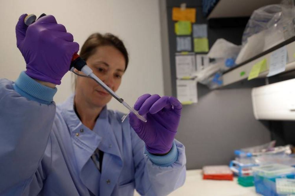 Segn una investigacin, el brote de coronavirus podra hacer que sea ms rpido y fcil probar medicamentos