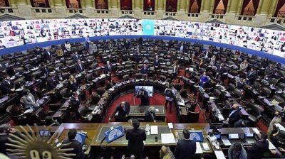 Expropiaci�n de Vicent�n: el oficialismo est� m�s c�modo en el Senado que en Diputados