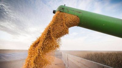 De compa��a familiar l�der, a acumular deudas y entrar en default
