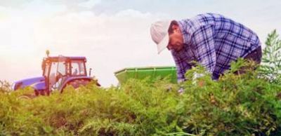 La Pampa: Capacitaci�n a distancia para trabajadores rurales