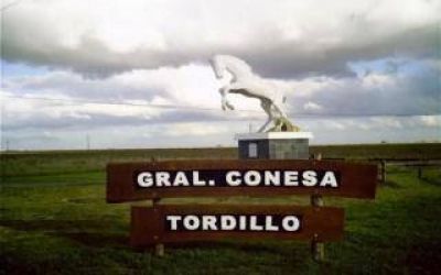 Tordillo en Fase 5: 