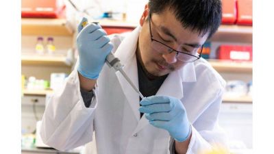 En busca de una vacuna, la Universidad de Oxford pide que el coronavirus 