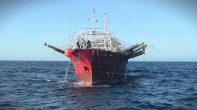 Capitanes de pesca denunciaron depredaci�n del calamar y otras irregularidades