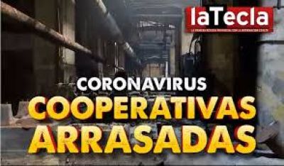 Cooperativas arrasadas