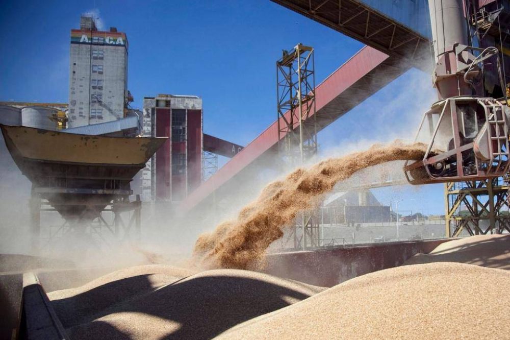 La nueva Vicentin: el plan de Alberto Fernndez para la cerealera