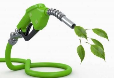 Vicentin: preocupación del sector de biocombustibles