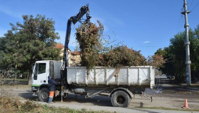 Retiraron 380 toneladas de basura