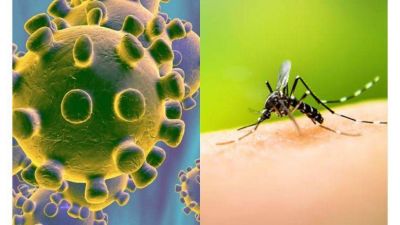 Argentina supera los 45 mil casos de dengue 