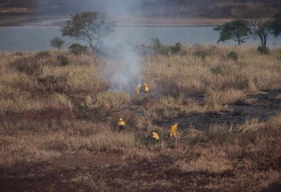 El detr�s de los incendios en el Delta: negocio ganadero y desidia macrista