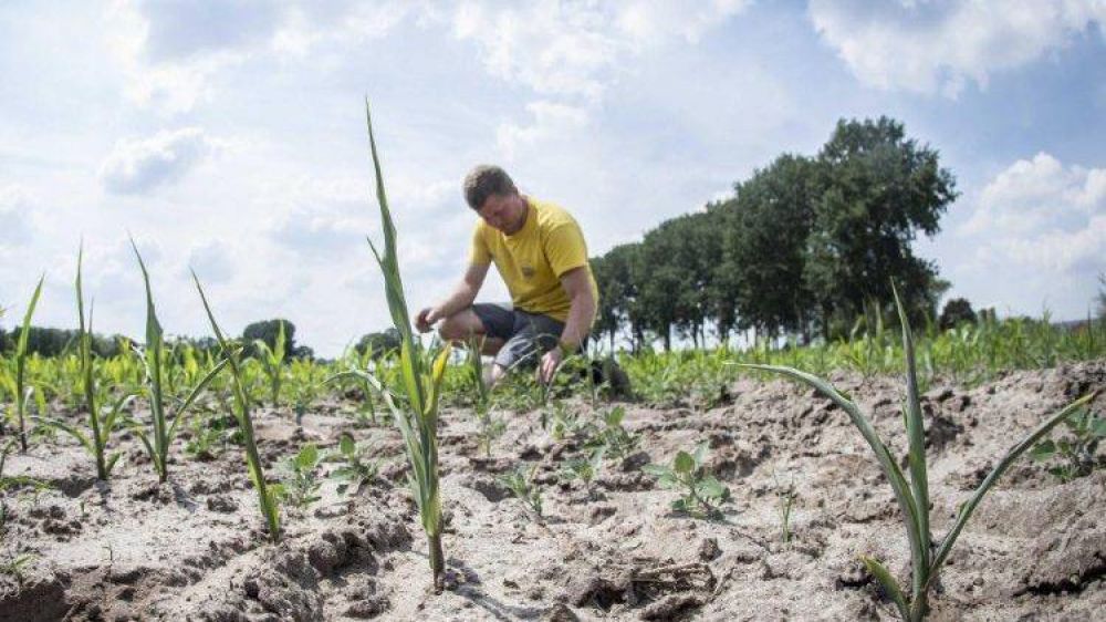 Desertificaci�n y sequ�a: es necesario cambiar nuestro estilo de vida