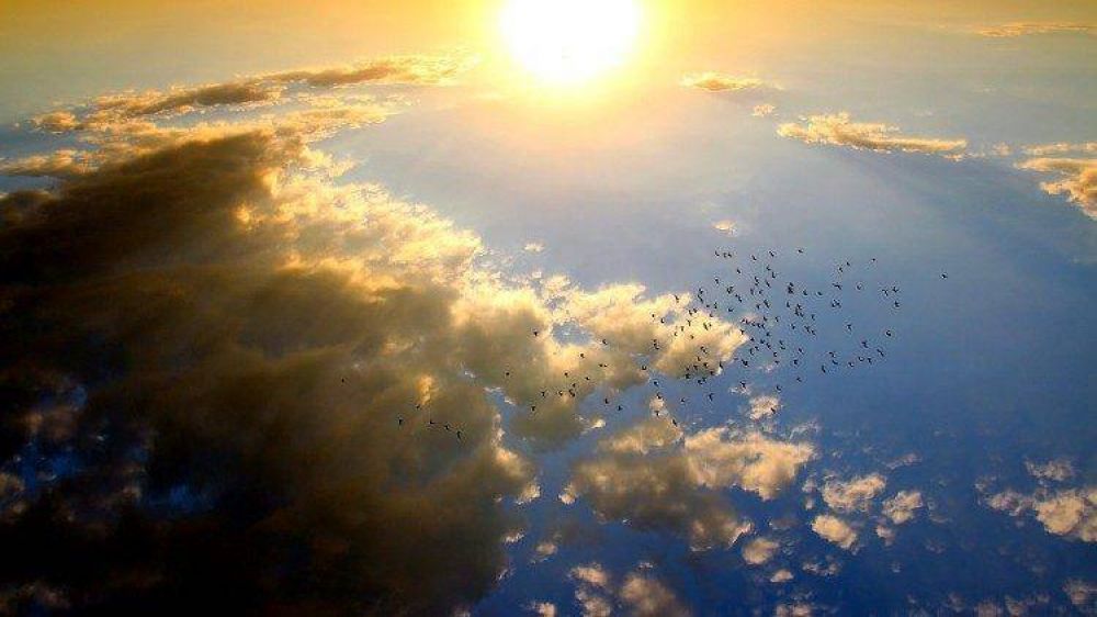 Vaticano, ecolog�a integral: salvaguarda de la Creaci�n es responsabilidad de todos