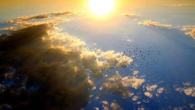 Vaticano, ecolog�a integral: salvaguarda de la Creaci�n es responsabilidad de todos