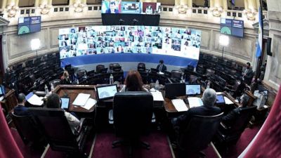 Convocan a sesi�n del Senado para debatir la creaci�n de la Bicameral de Vicentin