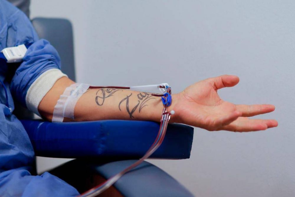 Coronavirus: Podra el plasma convertirse en una solucin definitiva en el pas?