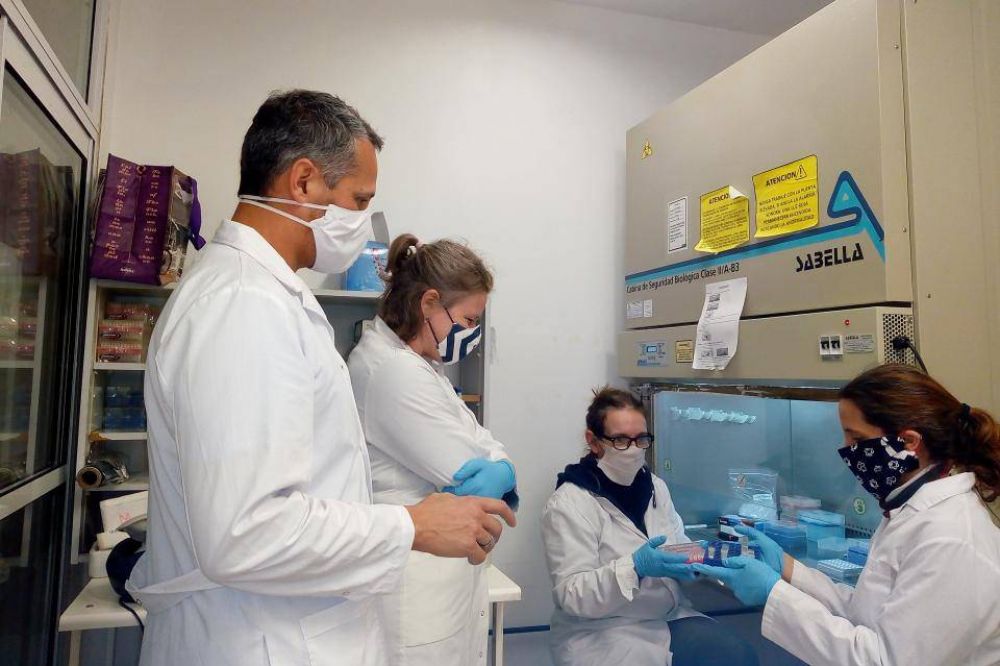 Coronavirus: cientficos argentinos desarrollaron un mtodo de testeo por grupos