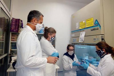 Coronavirus: cient�ficos argentinos desarrollaron un m�todo de testeo por grupos