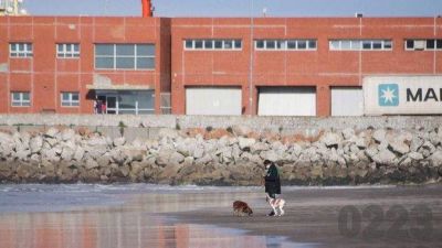 Otro d�a sin nuevos casos de coronavirus en Mar del Plata