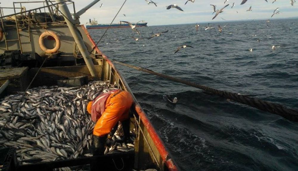Los marineros denuncian que quieren bajarle los salarios y arrancan un paro total en la pesca