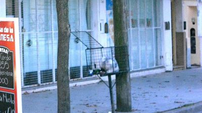 Menos basura durante la pandemia