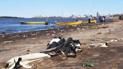 La bajante del Paran� desnud� un basural en la costa norte rosarina