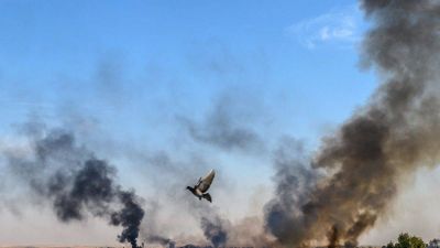 Cese al fuego mundial: el Papa apoya la Resoluci�n del Consejo de Seguridad de la ONU