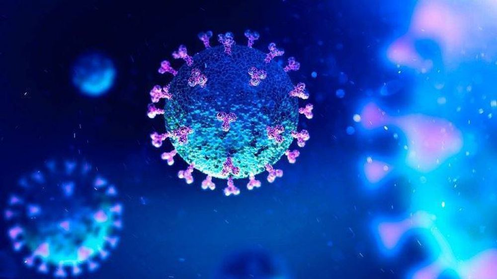 COVIPREP: cmo ser el primer estudio preventivo contra el coronavirus hecho en Argentina para proteger al personal de salud