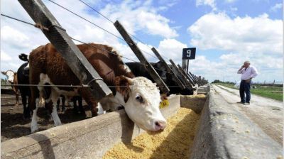 El Gobierno detect� 62 mercados abiertos a los alimentos argentinos por la crisis del Covid-19