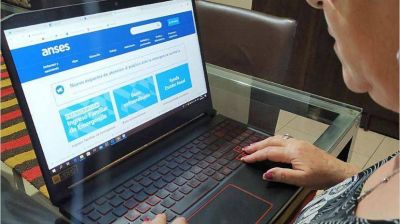 Para la Anses, el IFE 