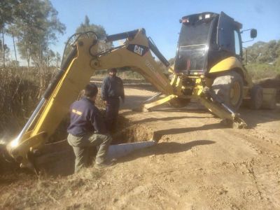 Jard�n de Los Pioneros: desde esta semana, el servicio de recolecci�n de residuos ser� casa por casa