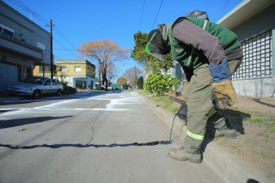Obras de tomado de juntas en Luis Guill�n