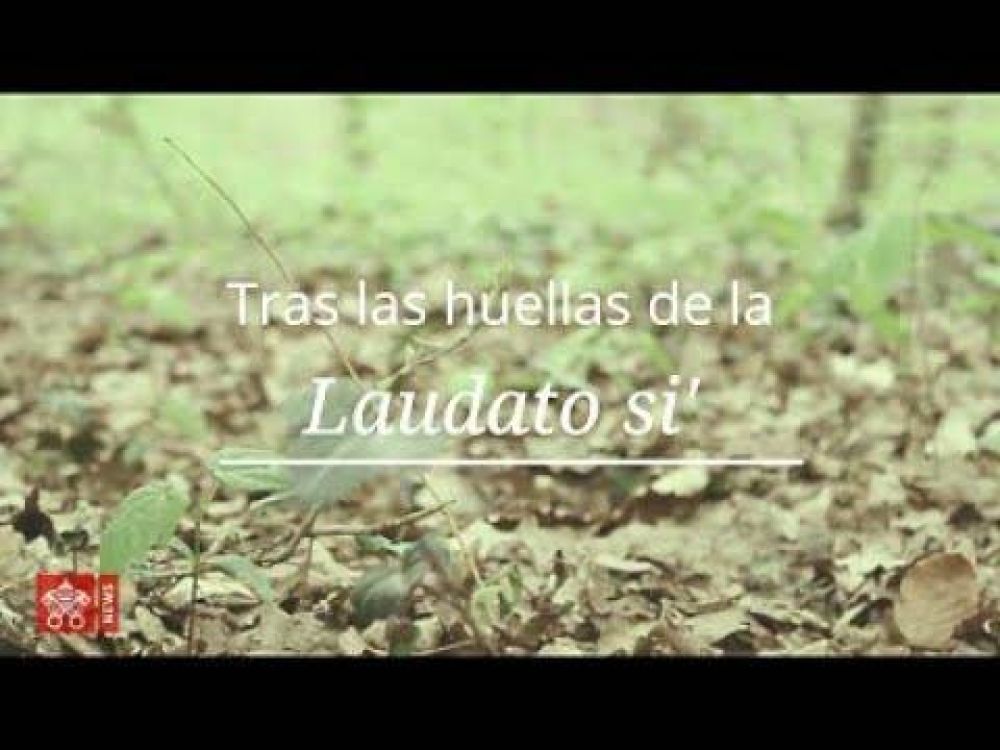 Laudato si, un regalo para la humanidad