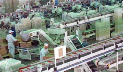 Preocupaci�n por el empleo y la formalidad en el sector alimenticio