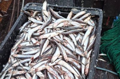 Salida pesificada y ancho�ta patag�nica en Mar del Plata