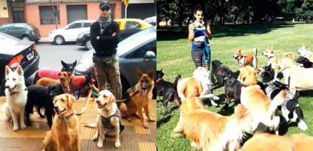 Trabajadores caninos vuelven a la actividad en la Ciudad de Buenos Aires gracias a la lucha colectiva