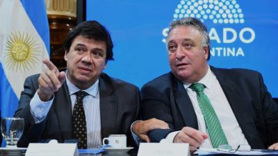 Por pedido de Moroni, los senadores apuran la ley de teletrabajo aprobada en Diputados