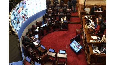 El Senado convertir� en ley los proyectos sobre donaci�n de plasma y receta digital